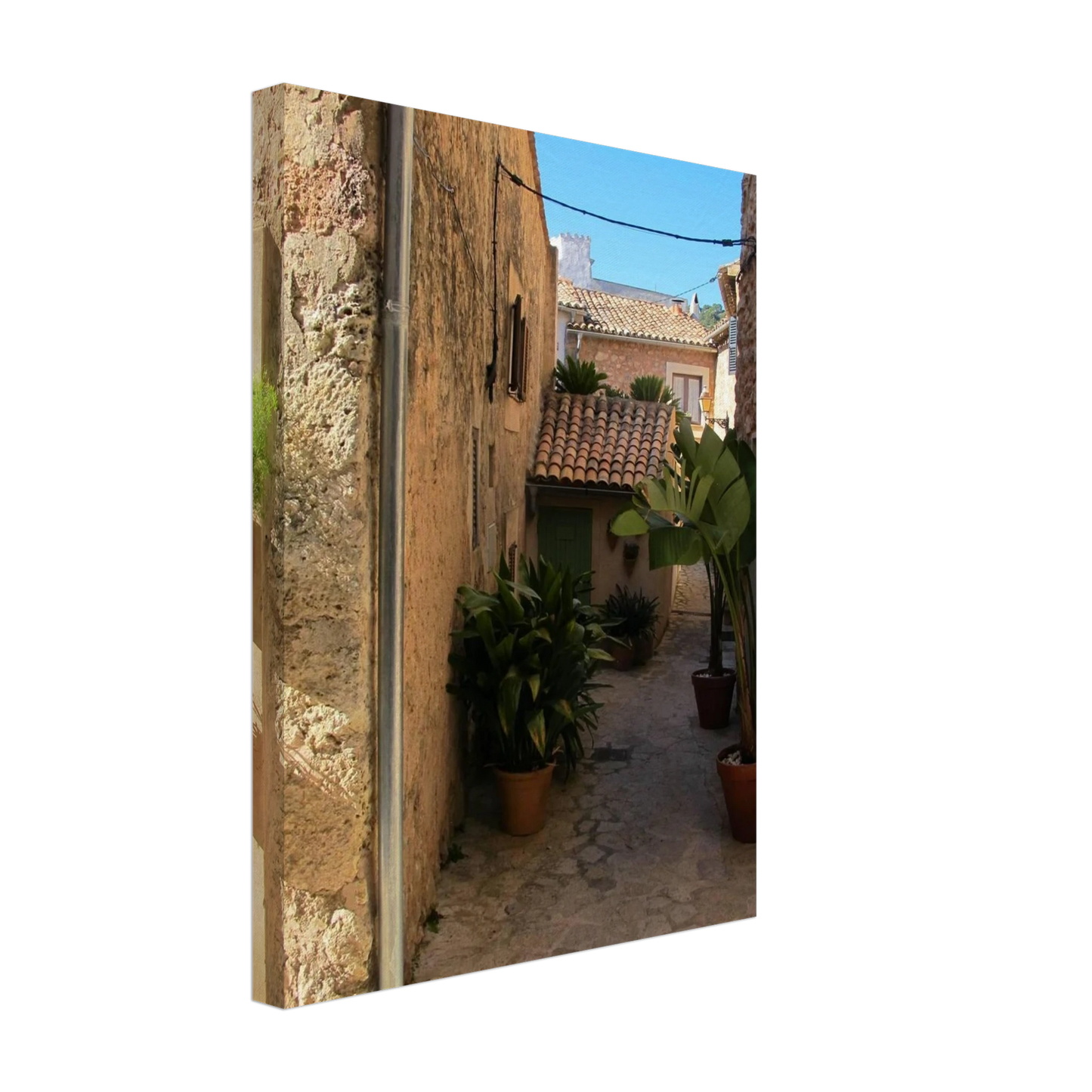 Calle de Valldemossa 1 Canvas