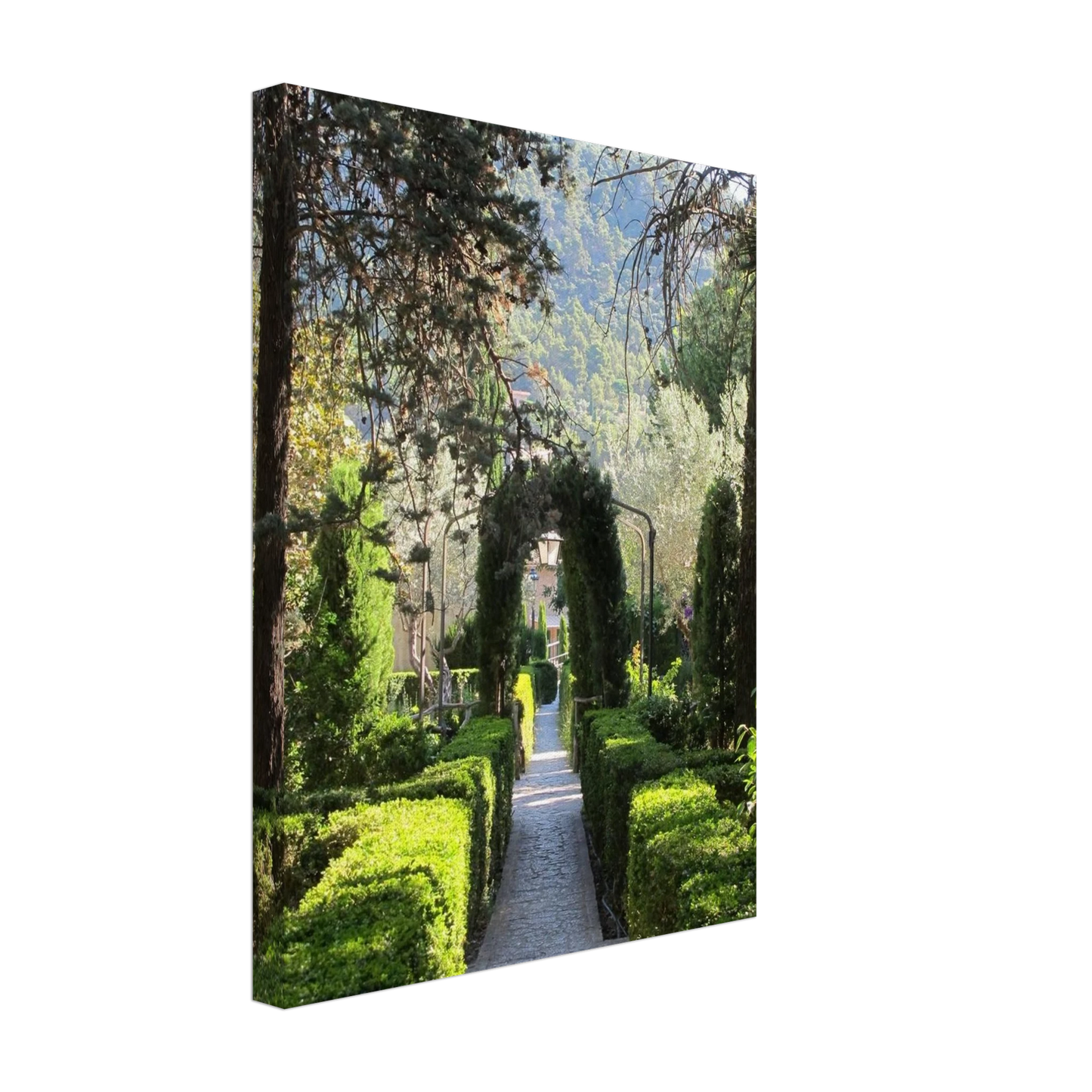 Jardins Rei Joan Carles Canvas