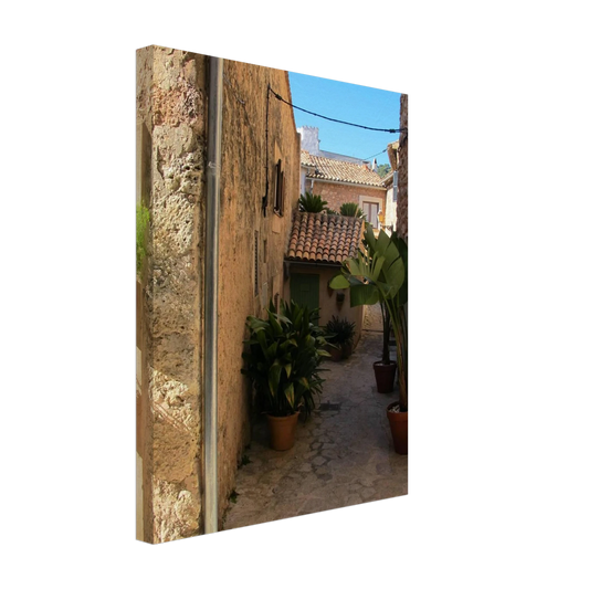 Calle de Valldemossa 1 Canvas