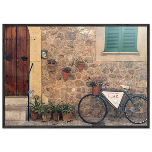 Calle de Valldemossa 3 Framed Poster